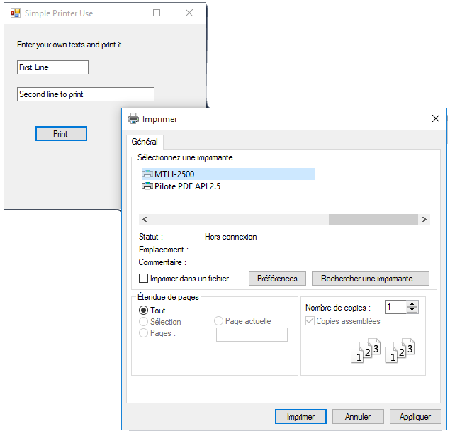 CSharpSimplePrinterUse